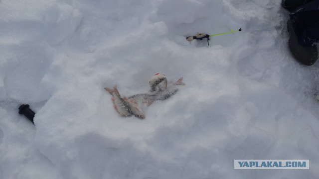 Зимняя рыбалка в Нижнекамске.