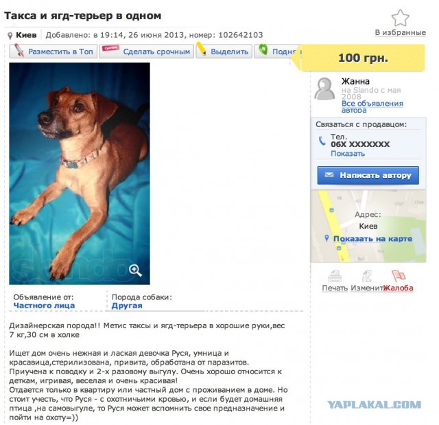 Поймали догхантера