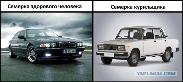 Смешные комментарии из социальных сетей.