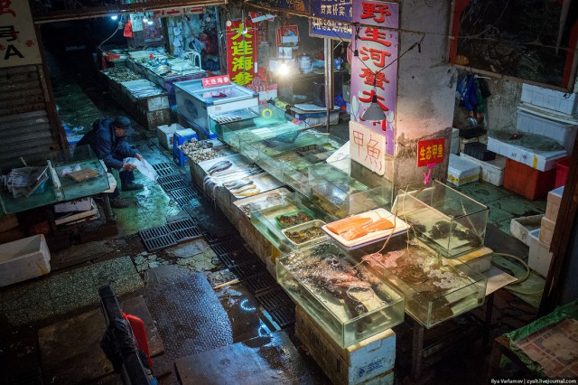 Пекин.  Путевые заметки, часть 1