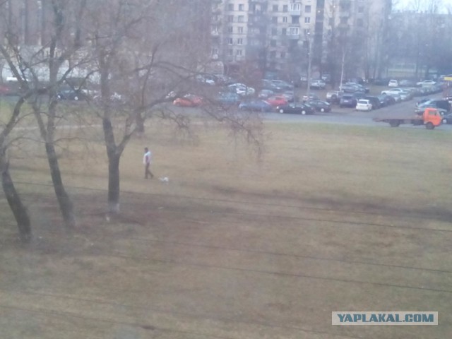 Я хочу замуж