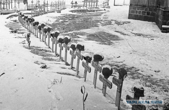 Несколько фотографий Великой Отечественной Войны