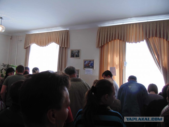 Подборка фото с референдума