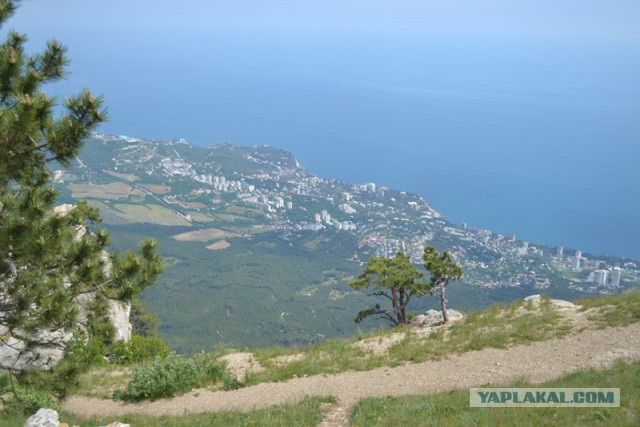 Отдых в Крыму 2014