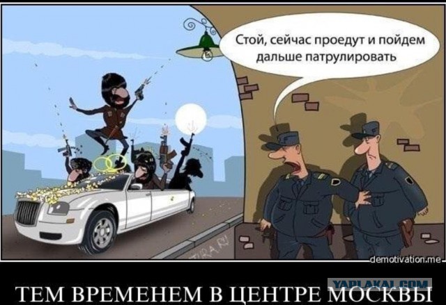 Горячие демотиваторы