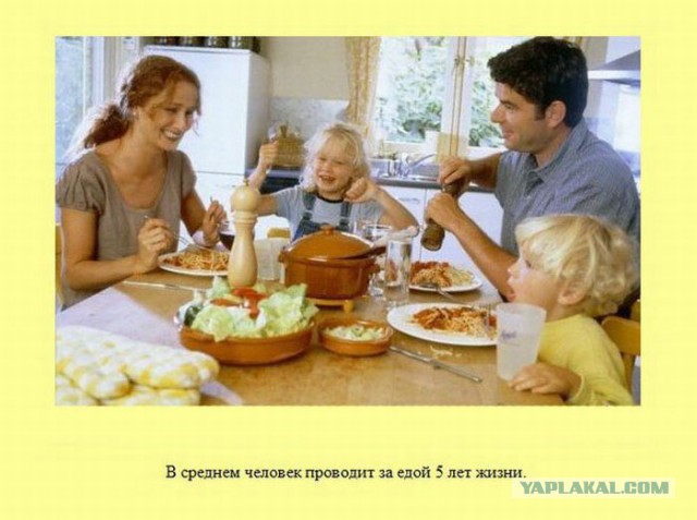 20 фактов обо всем