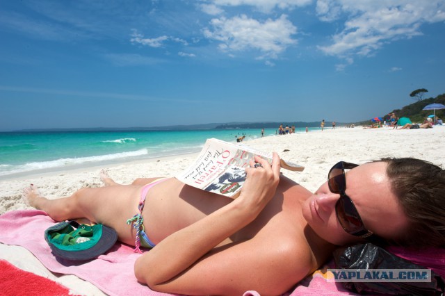 Экзотический животный мир Австралии