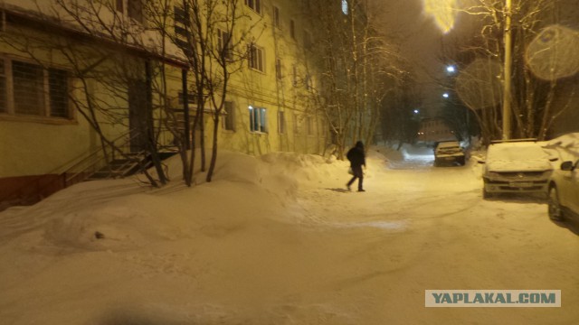 По следам Левиафана