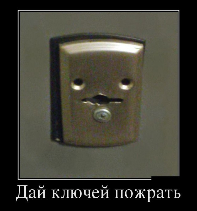 Они повсюду: забавная парейдолия