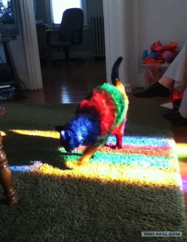 Когда ел соленые грибы от мамы