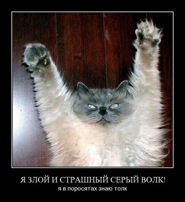 Весёлые картинки в чёрной рамке