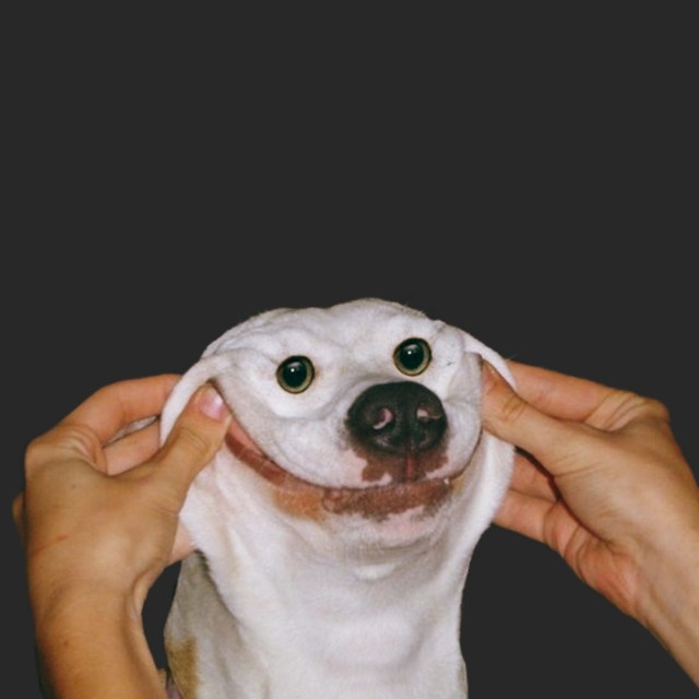 Подборка интересных и веселых картинок