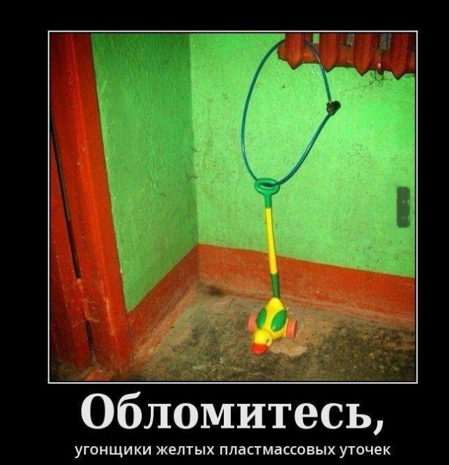 Прикольные картинки, интересные цитаты и мысли