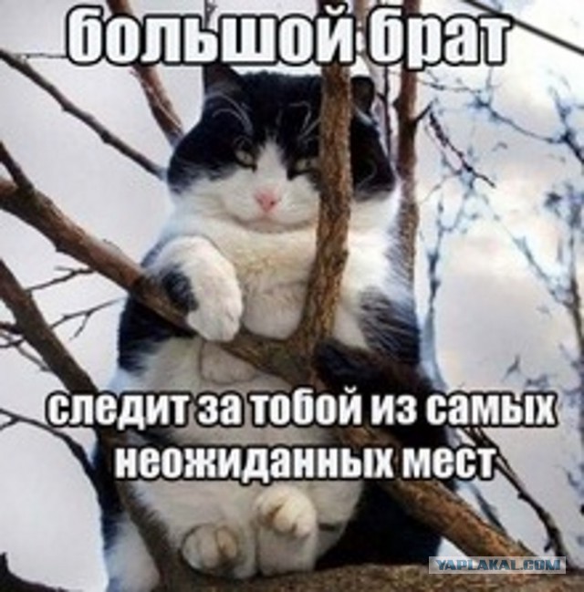 Едете на юг к морю? - Будьте бдительны!
