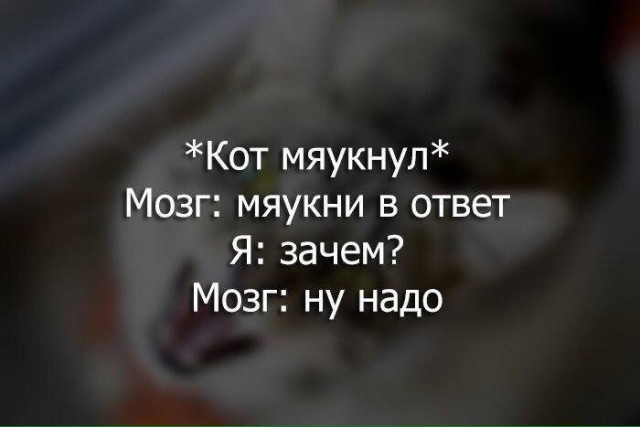 Смешные комменты из соцсетей и другие приколы.