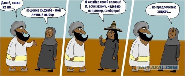 Нетолерантненькие бирманцы.