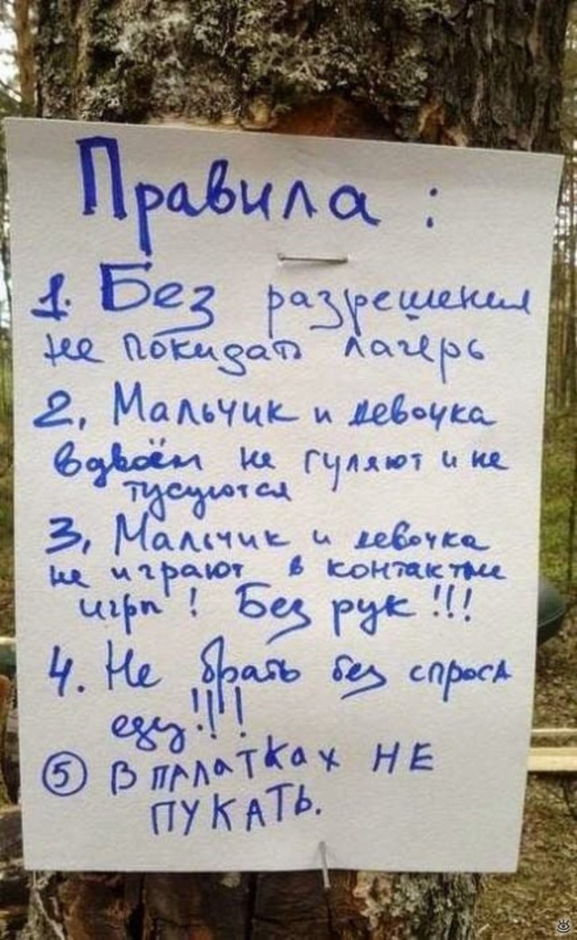 Картинки