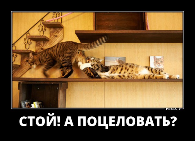 Картинки для настроения в пятницу.