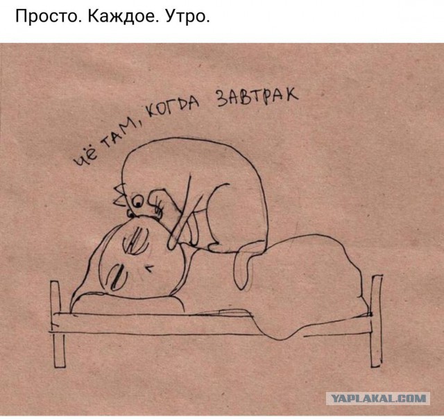 Немного веселых и некоторым образом смешных картинок к пятнице.