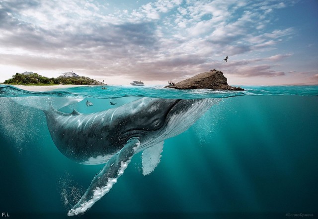 Разрядка обстановки. Всякая всячина