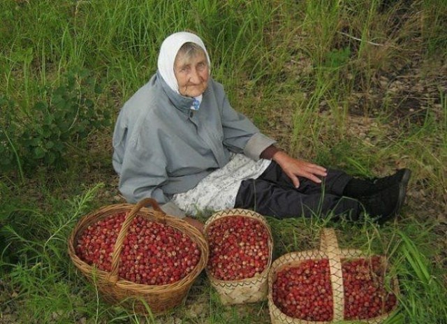 Классные кадры, которые могут удивить