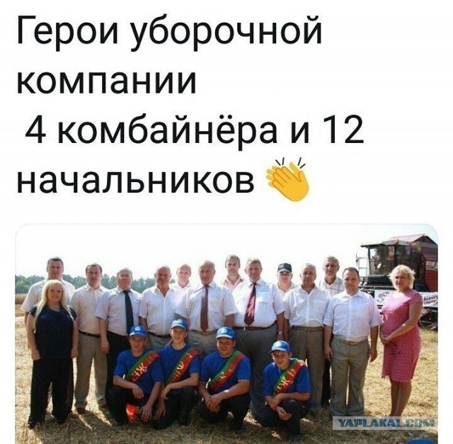 Подборка интересных и веселых картинок 06.10.18
