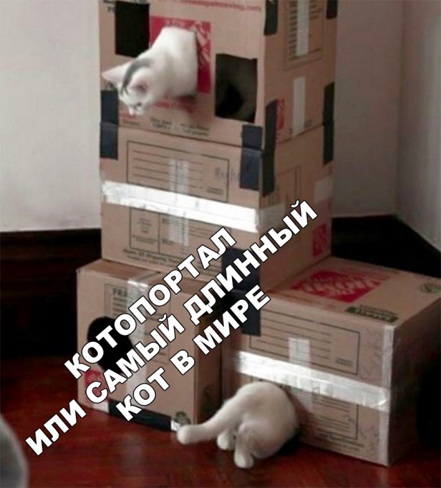 Немного милоты