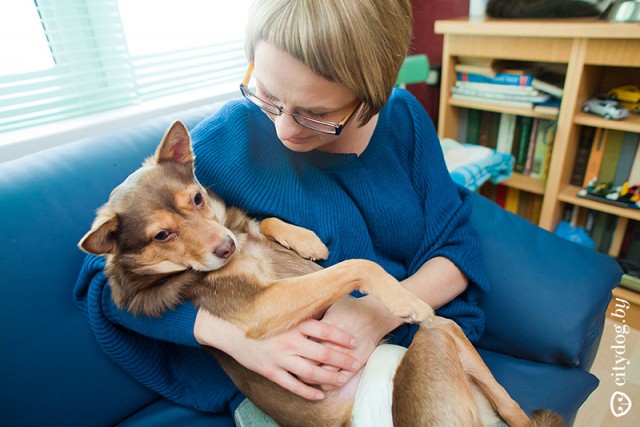 Животные-инвалиды