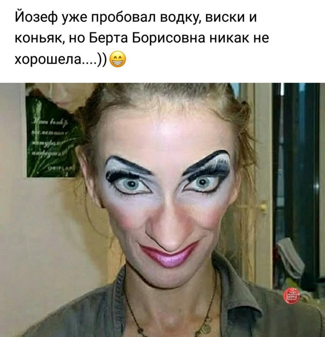 Скотсети и прочие интернеты 22.02.19