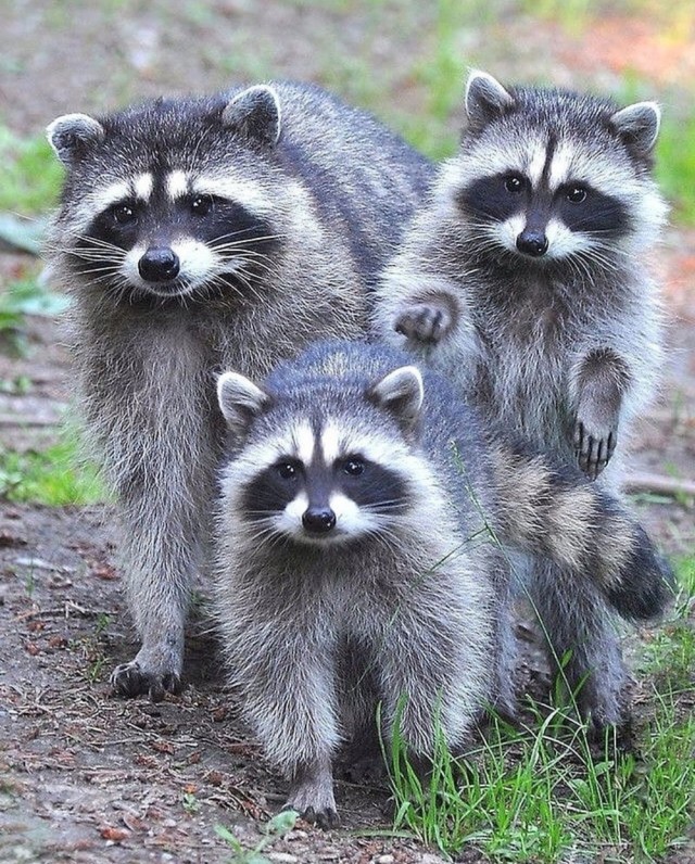 Подборка интересных и веселых картинок 01.04.19