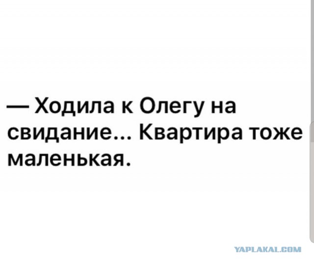 Мужчина выбросил сожительницу в окно из-за оскорблений мужского достоинства