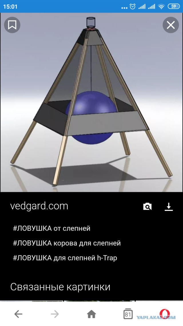 Эффективная и бесплатная ловушка для слепней