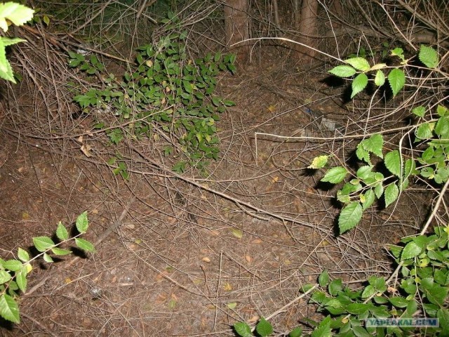 Необъяснимые явления