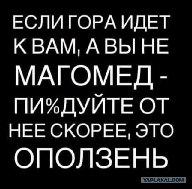 Праздничная чернь