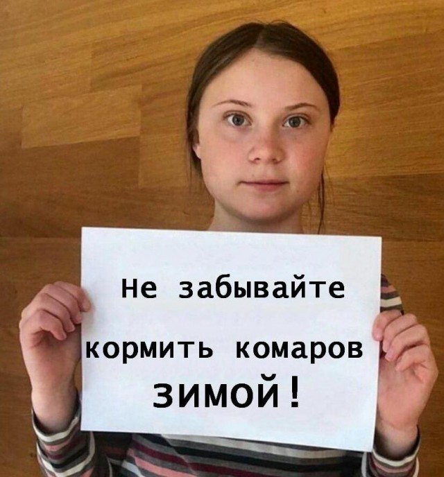 В России могут исчезнуть комары