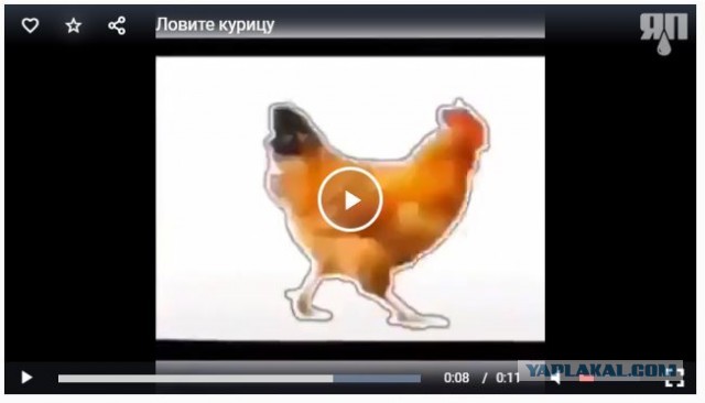 Кому нечем заняться: ловите курицу, нажимая на паузу