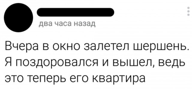Мышь доказала, деньги не главное