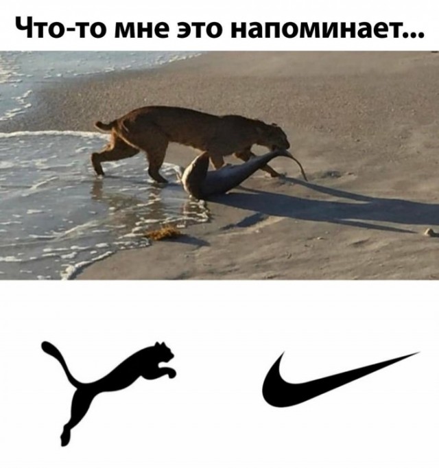 Немного картинок для настроения 22.05.20