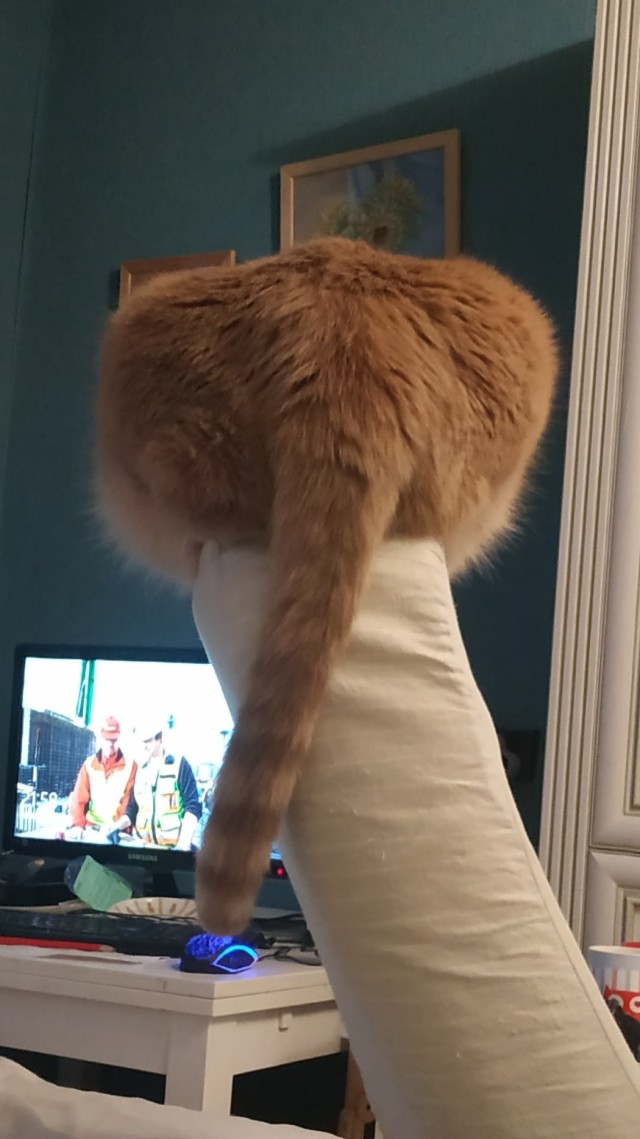 Зверушки