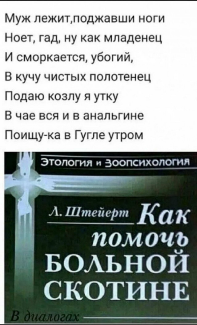 Картинки и мемы для настроения 013