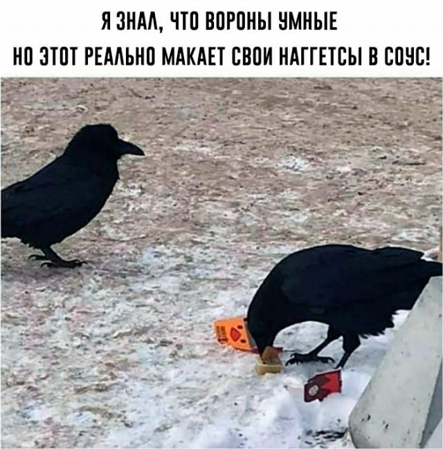 Картинки и мемы для настроения 018