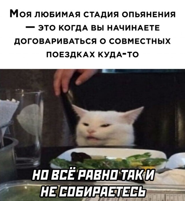 Картинки и мемы для настроения 006