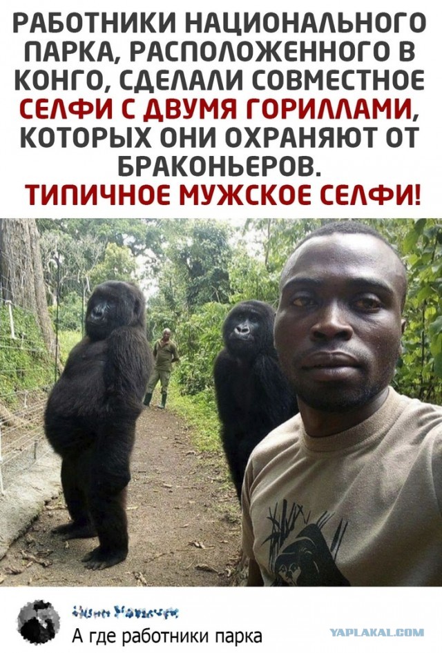 В зоопарке Бронкса на ежегодной семейной прогулке ...