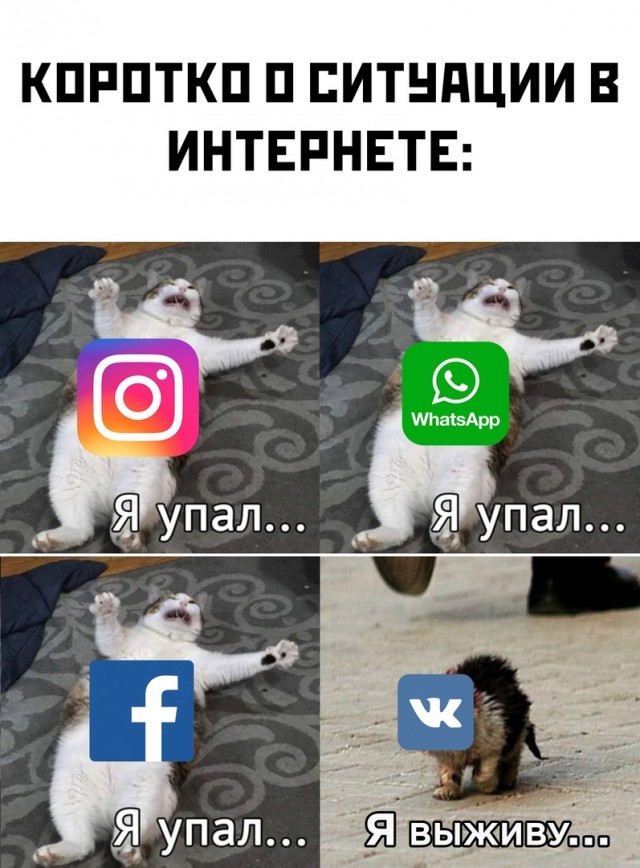 Картинки разные 06.10.21