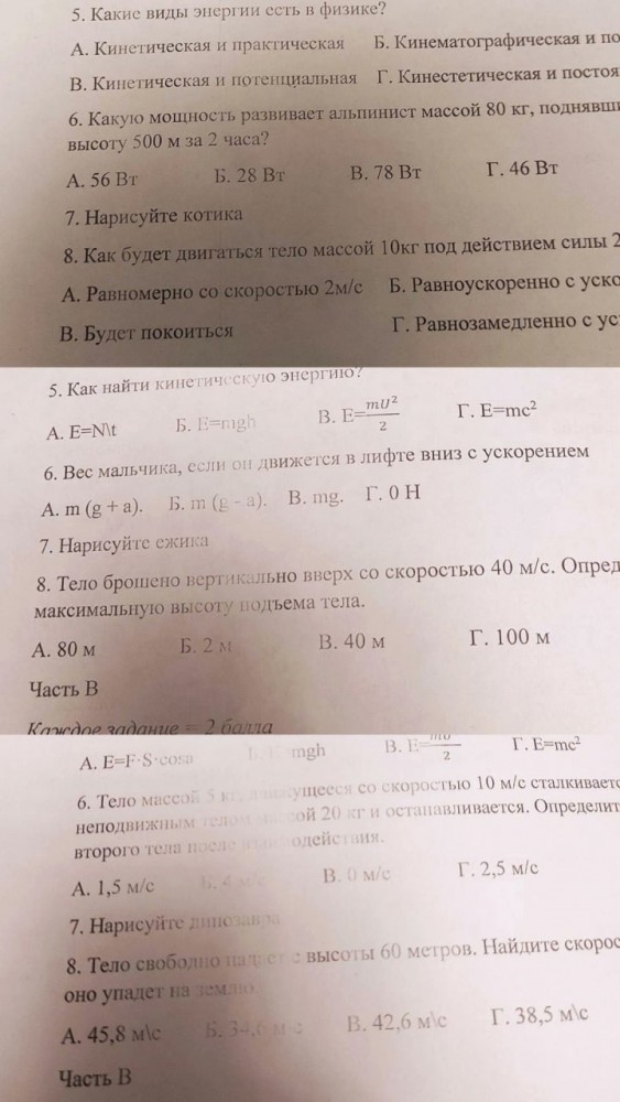 Учительница из Тюмени добавила в контрольную по физике задачу «нарисовать котика, ёжика или динозавра», чтобы снять стресс у учеников