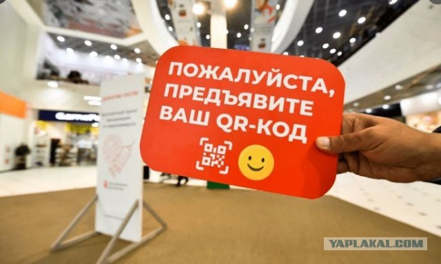 Губернатор ввёл систему QR-кодов для посещения воронежских торговых центров