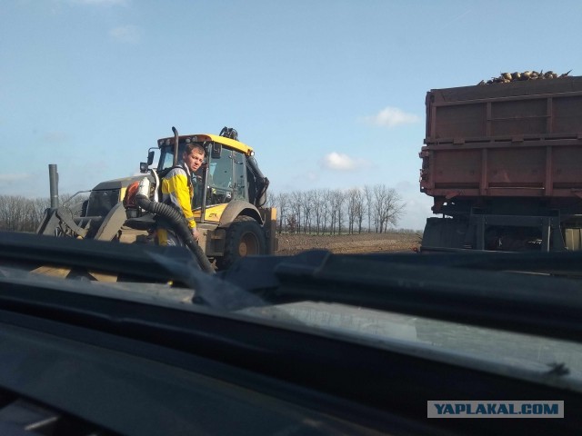 Женить младшего брата