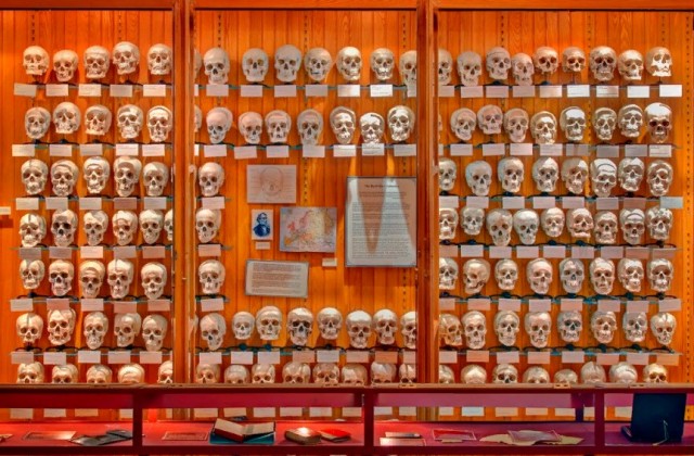 20 самых странных музеев мира. 18+