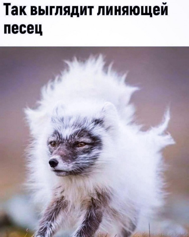 Так себе картинки 31.03.22
