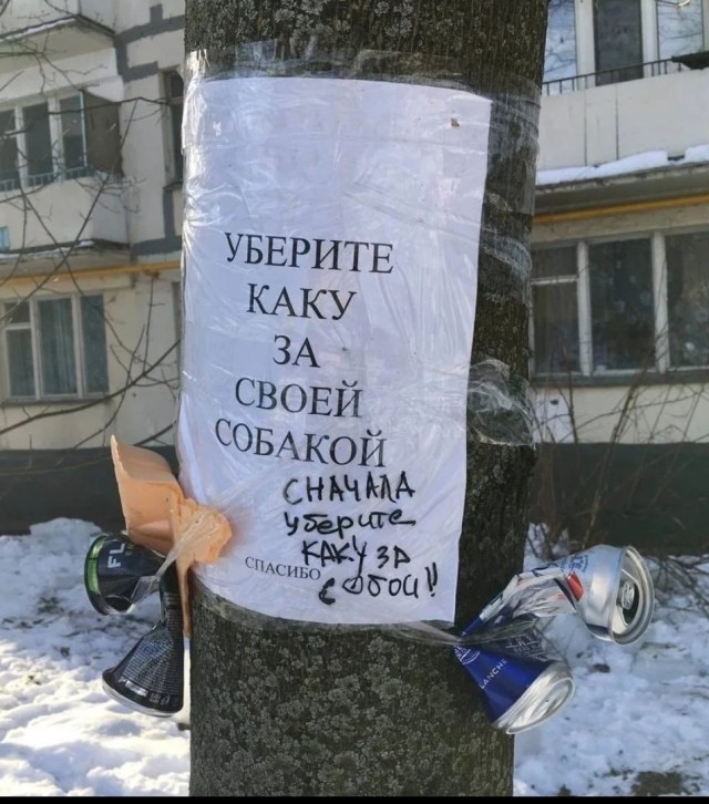 Вообще-то, мне гораздо больше хотелось бы иметь собаку, чем жену. (Малыш)